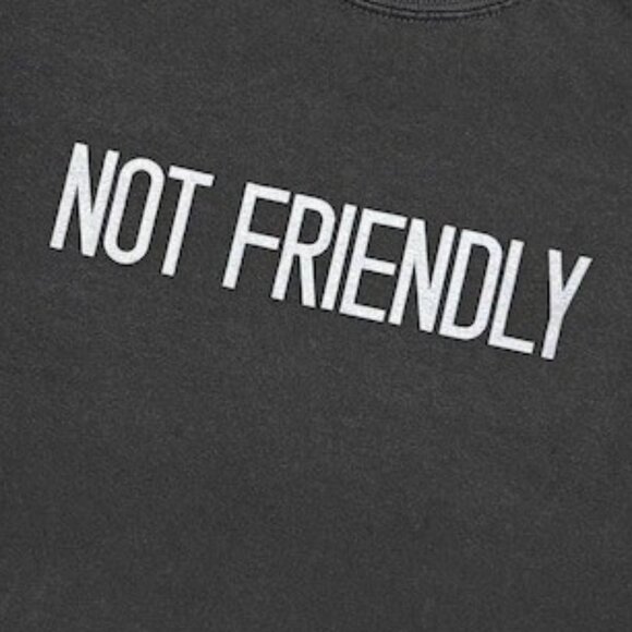 Not Friendly Tee, Funny Dog Lover Tshirt - Picture 2 of 3